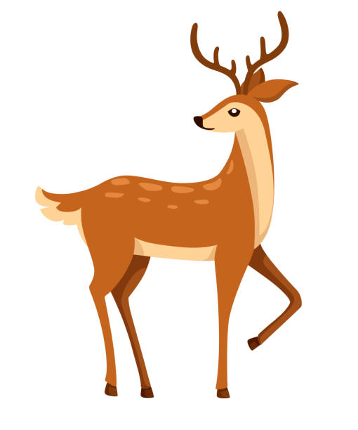 Brown Deer Hoofed Ruminant Mammals Cartoon Animal Design Cute Deer With  Antlers Flat Vector Illustration Isolated On White Background Stock  Illustration - Download Image Now - iStock