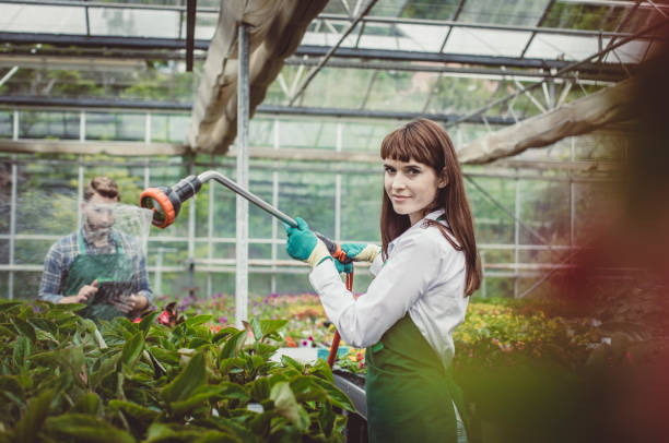 istock Worker at the Garden Center Watering The Plants 1133181293