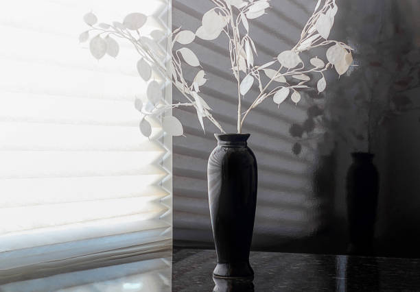 istock White moon flower or moon (Latin Lunaria, Eng. Honesty or Moneyflower) in a black vase on the table. Background black and white, reflection. The concept of mourning or wealth. 1133182024