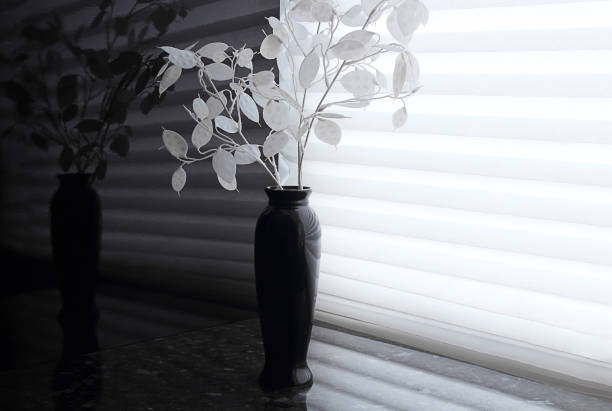 White moon flower or moon (Latin Lunaria, Eng. Honesty or Moneyflower) in a black vase on the table. Background black and white, reflection. The concept of mourning or wealth. White moon flower or moon (Latin Lunaria, Eng. Honesty or Moneyflower) in a black vase on the table. Background black and white, reflection. The concept of mourning or wealth. интерьер помещений stock pictures, royalty-free photos & images