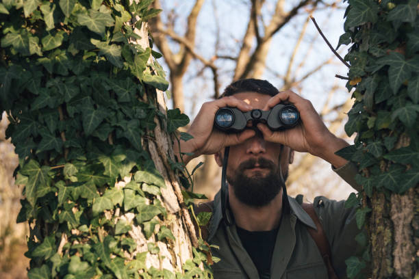 istock Man in the forest looks through binoculars 1133183575