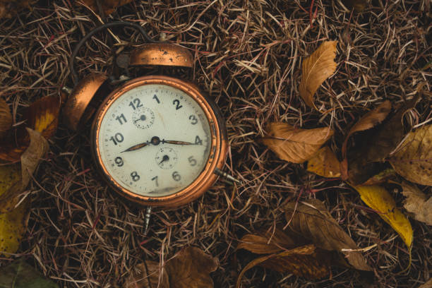 istock Old alarm clock in the leaves 1133184017