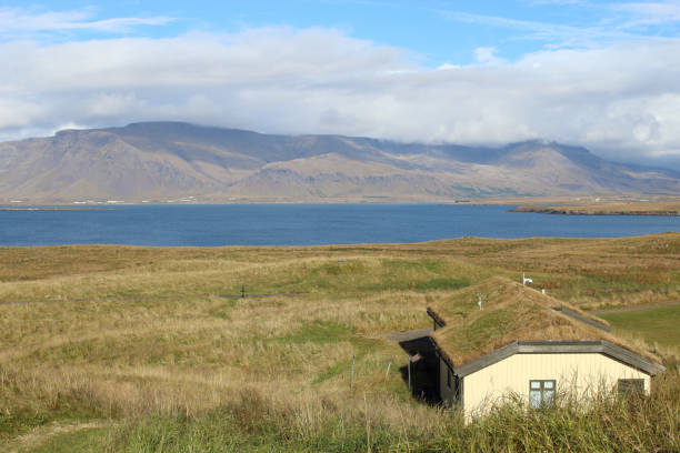 istock moss covered house on Videy Island in Iceland 1133186743