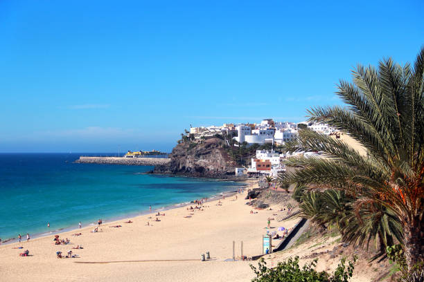 istock Beach of Morro Jable, Canary islands 1133187435