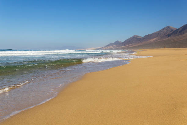 istock Cofete beach, Fuerteventura, Spain 1133187566