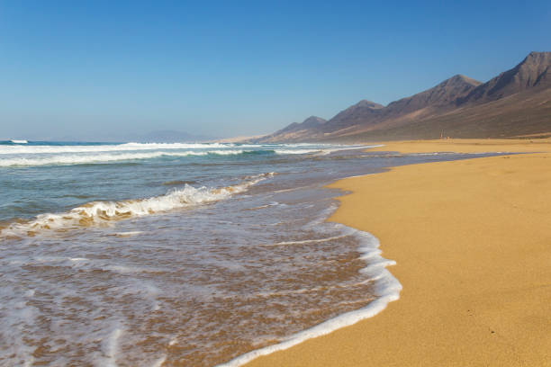 istock Cofete beach, Fuerteventura, Spain 1133187586