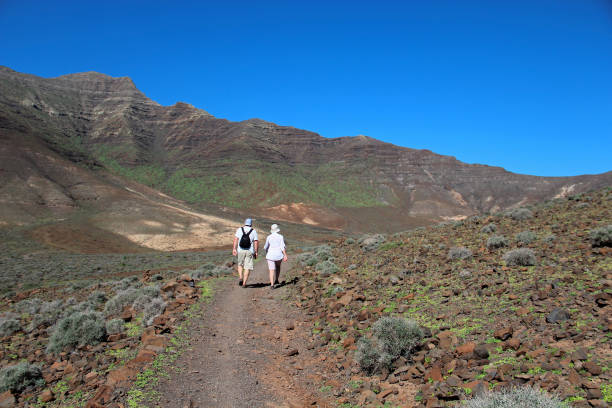 montanhas em fuerteventura perto de morro jable - volcanic landscape rock canary islands fuerteventura - fotografias e filmes do acervo