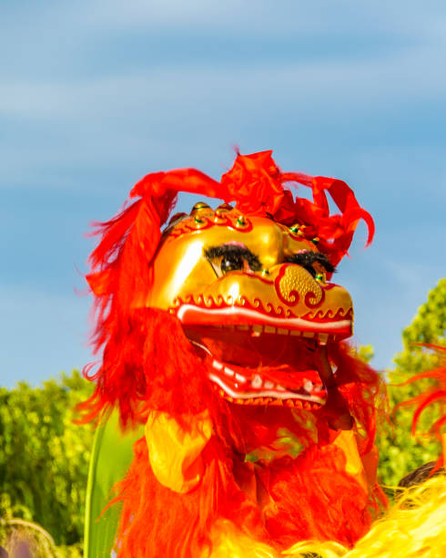 istock Lion Dance, Chinese New Year, Montevideo, Uruguay 1133188068