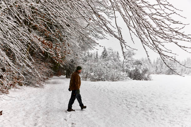 istock Heavy snowfall and a man walks in foreground 1133190367