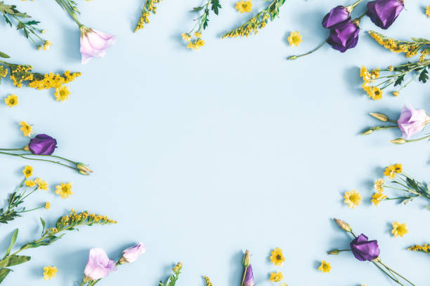 istock Easter eggs, purple and yellow flowers on pastel blue background. Spring, easter concept. Flat lay, top view, copy space 1133190515