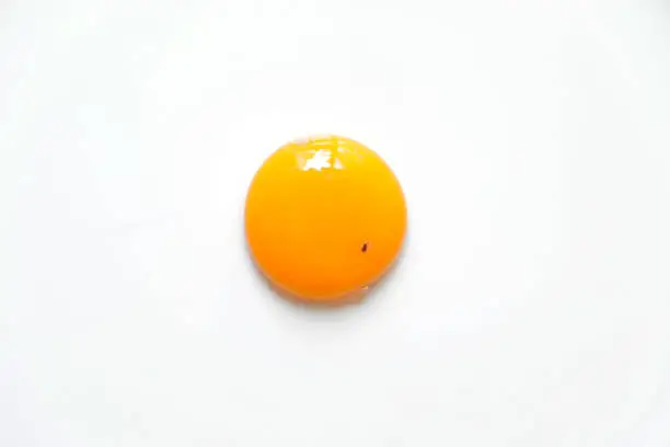 Raw chicken egg yolk with blood spot, flat lay on white background