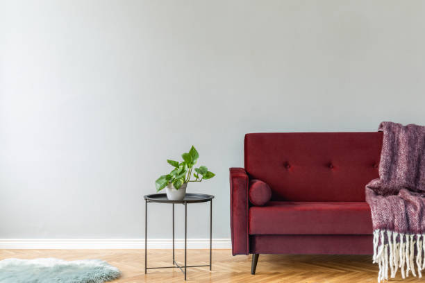 istock Minimalistic and luxury grey home interior with burgundy velvet design sofa, black coffe table with plant and elegant blanket. Copy space for inscription, mock up poster. Brown wooden parquet. 1133195284