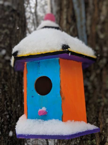 istock Colorful bird house in winter 1133195291