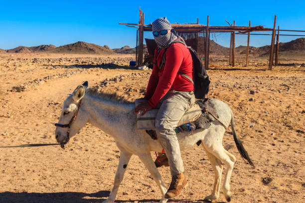 istock Tourist ride a donkey in Arabian desert, Egypt 1133201574