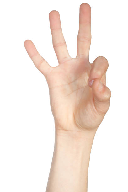 istock Alphabet in American Sign Language 1133202571