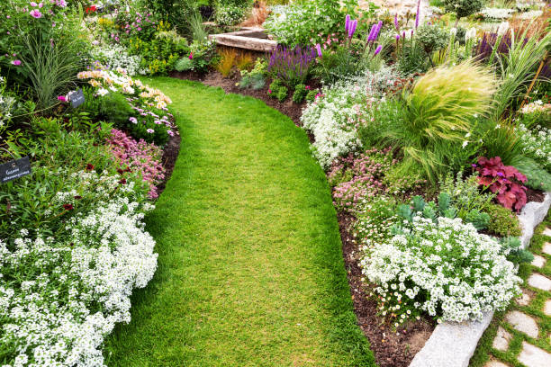 istock A beautiful driveway in the garden 1133202610
