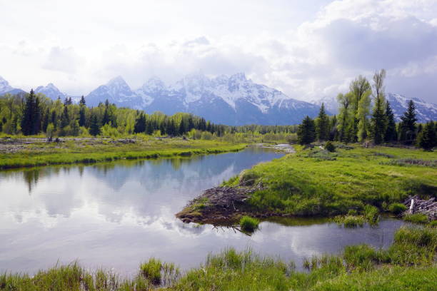 istock Snake River and Grand Teton 1133202683