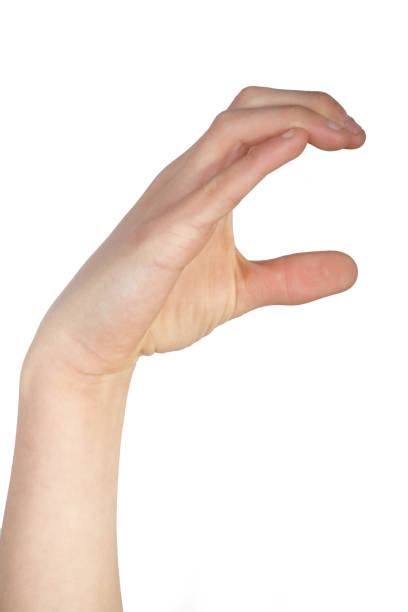 istock Alphabet in American Sign Language 1133202781