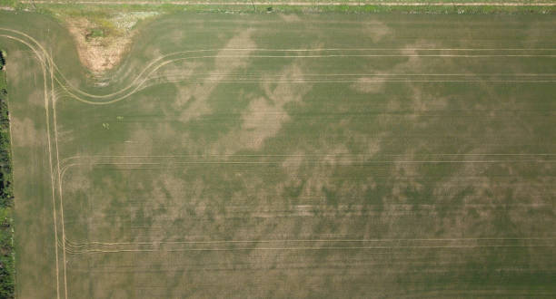 istock Farmland Aerial Photo 1133203075