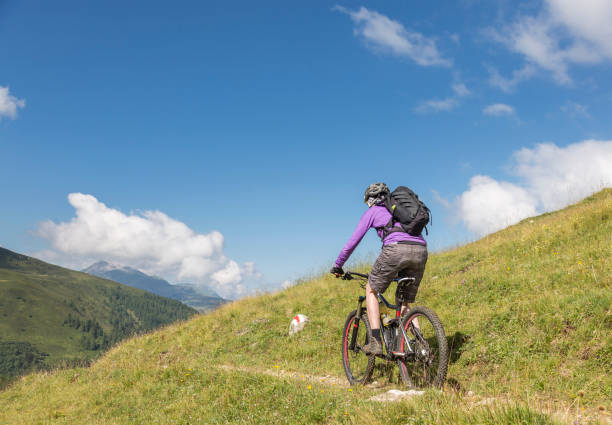 istock Scenic pasture mountainbike downhill from Strela Pass, Davos 1133204191