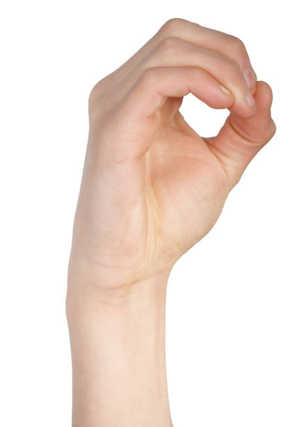 Caucasian hand doing American Sign Language  showing the symbol for O