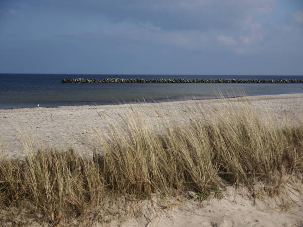 istock On the Baltic Sea beach 1133205826