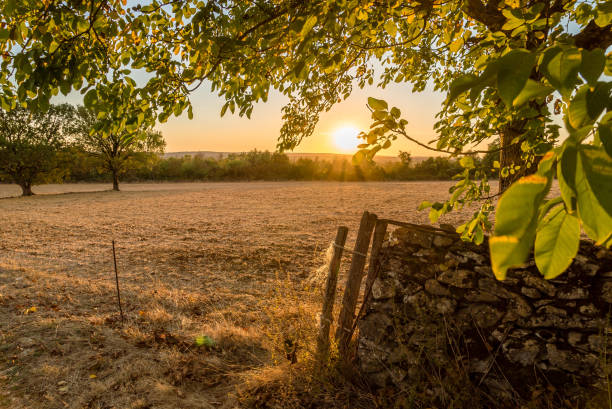 Causses du Quercy at sunset in Occitanie, France