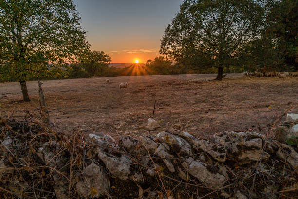 istock Sunset over Causses du quercy park in Lot department 1133207714