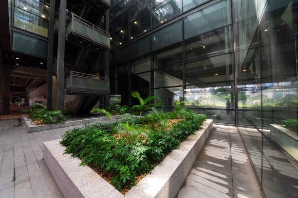 istock Modern glass elevator and pedestrian stairway entrances. 1133207739