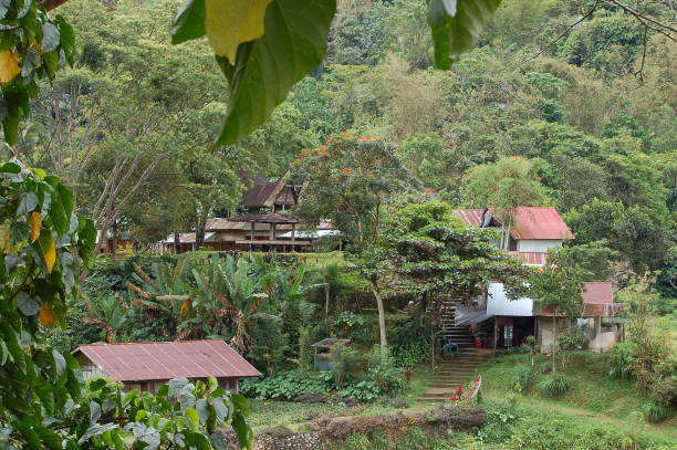 istock Lemo village, Tana Toraja 1133207975