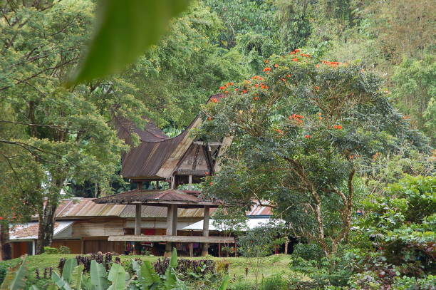 istock Lemo village, Tana Toraja 1133207979