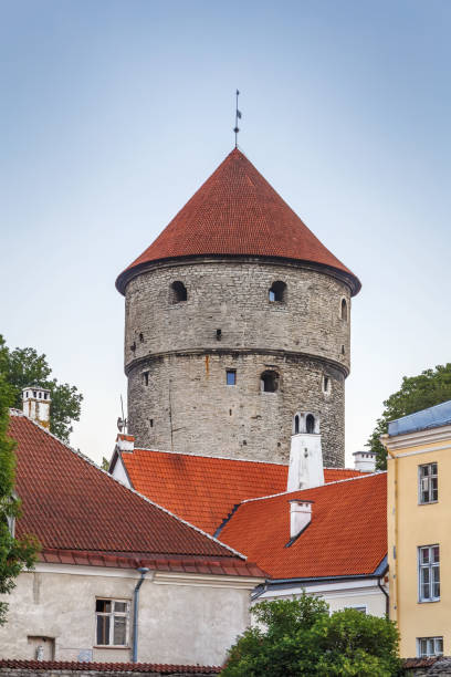 istock Snap in De Kok, Tallinn, Estonia 1133209482