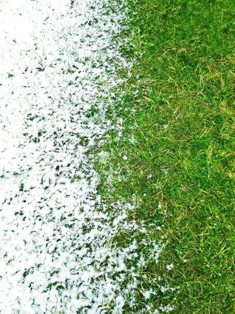 Photo of Snow on green grass background