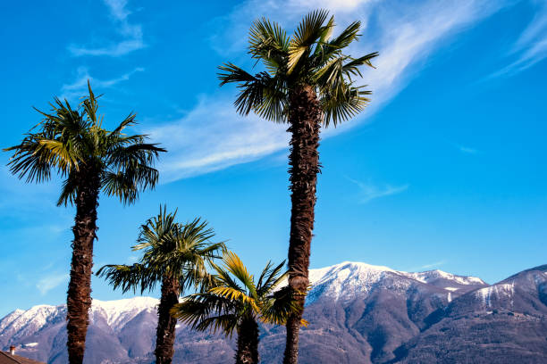 Ascona, Lago Maggiore, Switzerland, Nature,  Mountain