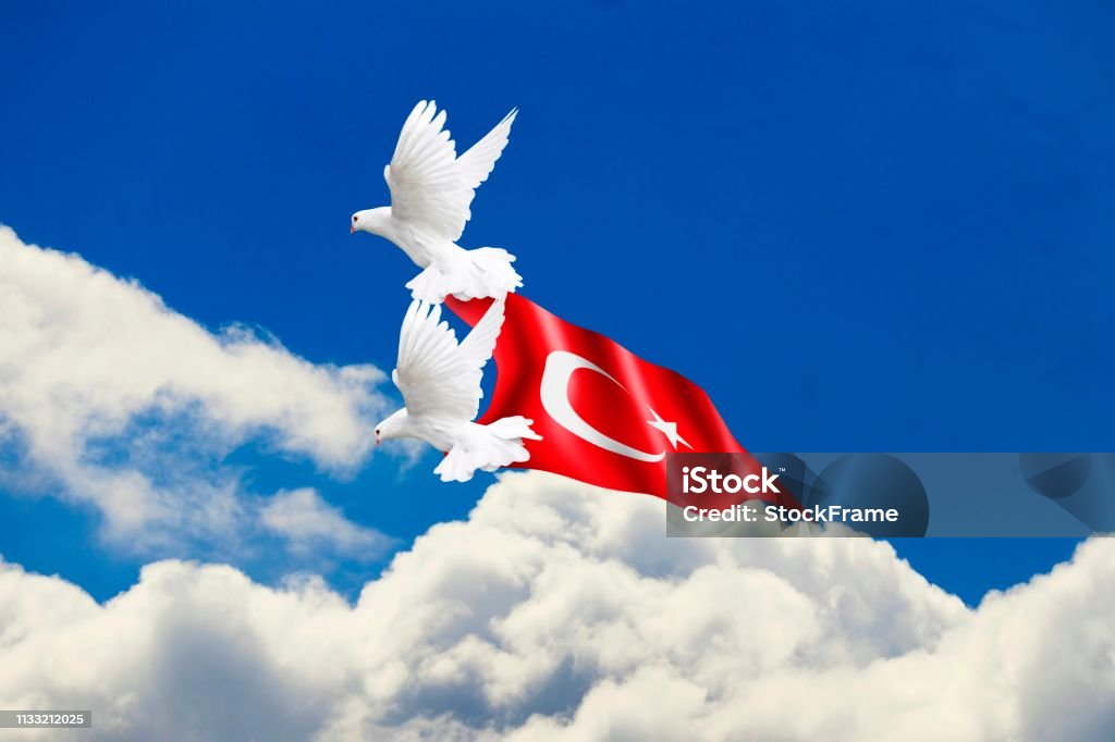 Türkei Fahne Und Friedenstaube Stockfoto und mehr Bilder von