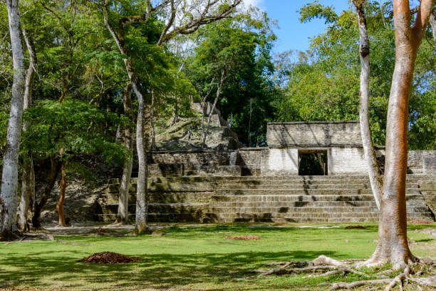 руины пирамиды майя в кахал-печ, белиз - cayo district old traditional culture famous place стоковые фото и изображения