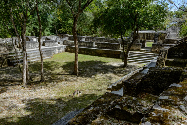 руины пирамиды майя в кахал печ, белиз - cayo district old traditional culture famous place стоковые фото и изображения