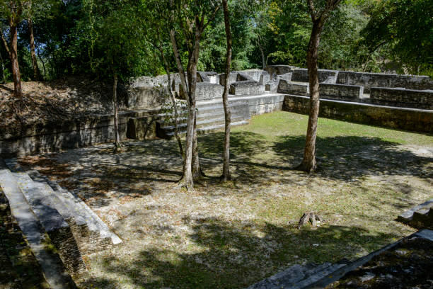 руины пирамиды майя в кахал-печ, белиз - cayo district old traditional culture famous place стоковые фото и изображения