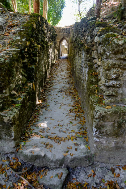 istock Mayan pyramid ruin at Cahal Pech, Belize 1133213464