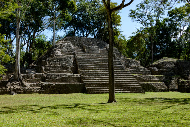 istock Mayan pyramid ruin at Cahal Pech, Belize 1133214513
