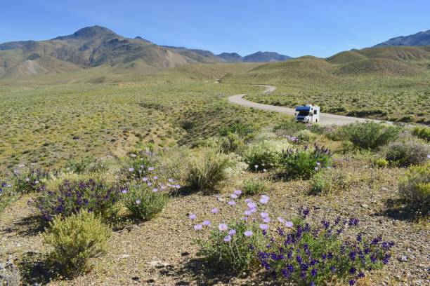 wohnmobil auf der einsamen straße, umgeben von einer wunderschönen blühenden quelle karibischen natur. - wildflower california desert spring stock-fotos und bilder