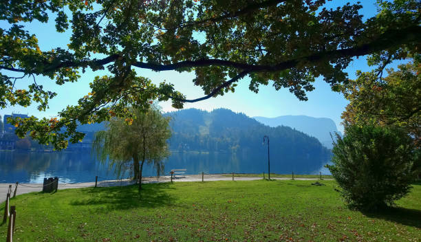 istock Lake Bled in Slovenia 1133222198