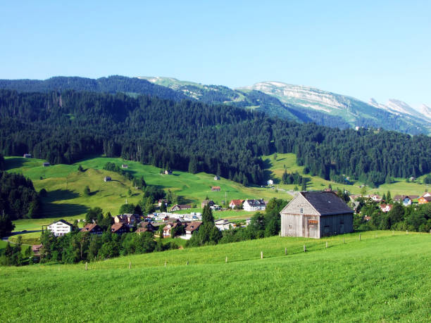 istock Wildhaus settlement in the river Thur valley 1133222293