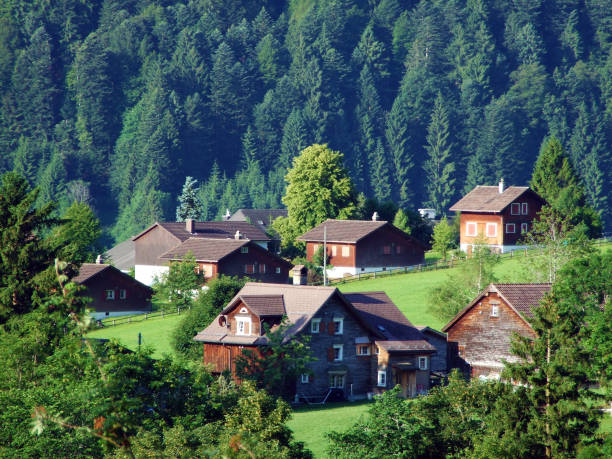 istock Wildhaus settlement in the river Thur valley 1133222309