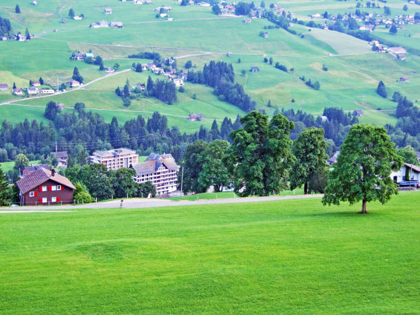 istock Wildhaus settlement in the river Thur valley 1133222319