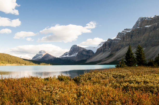 istock Bow Lake and Glacier 1133225428
