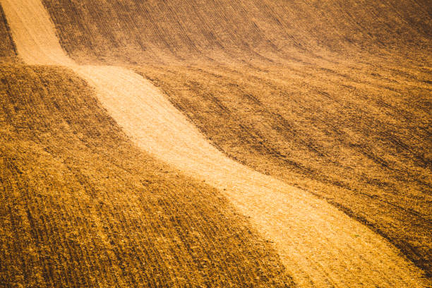 istock Wavy  autumn fields in Moravian Tuscany, Czech Republic 1133229277