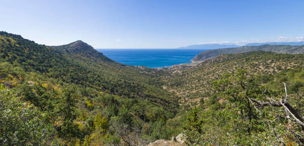 istock Narrow valley in the Crimean mountains. 1133229323
