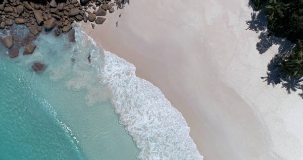 istock Aerial view of sandy beach and ocean with waves 1133230101