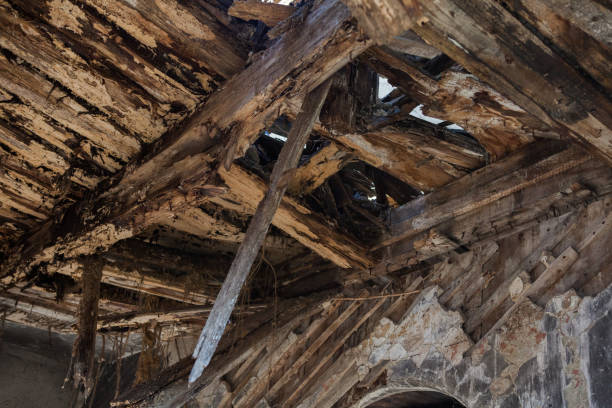 istock Old and rotting wooden ceiling in an abandoned house 1133231281
